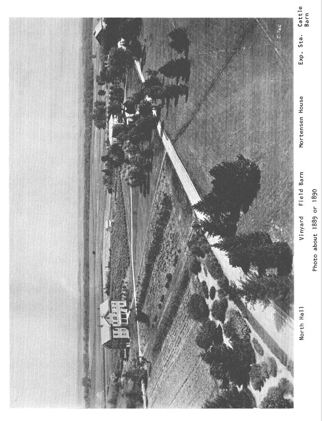 Aerial black and white photograph of North Hall, Vinyard, Field Barn, Mortensen House, Exp. Station Cattle Barn taken about 1889 or 1890
